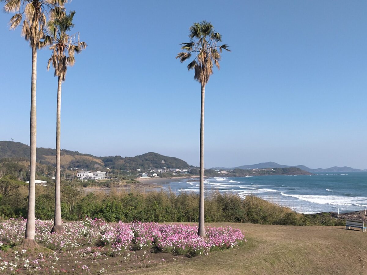 海のリハビリ研究所